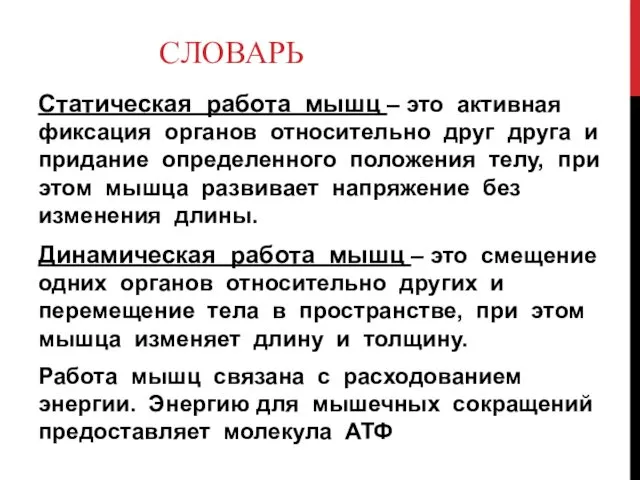 СЛОВАРЬ Статическая работа мышц – это активная фиксация органов относительно друг