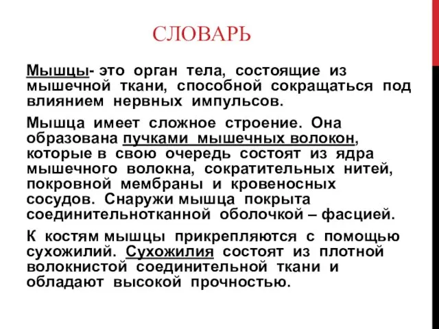 СЛОВАРЬ Мышцы- это орган тела, состоящие из мышечной ткани, способной сокращаться