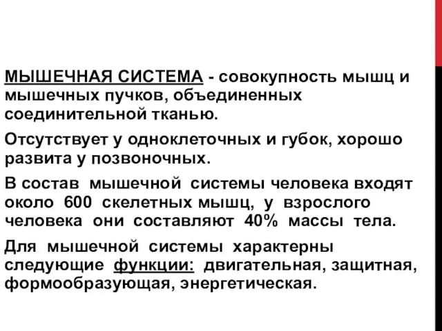 МЫШЕЧНАЯ СИСТЕМА - совокупность мышц и мышечных пучков, объединенных соединительной тканью.