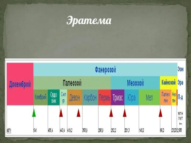 Эратема