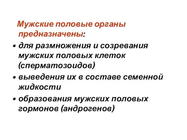 Мужские половые органы предназначены: для размножения и созревания мужских половых клеток