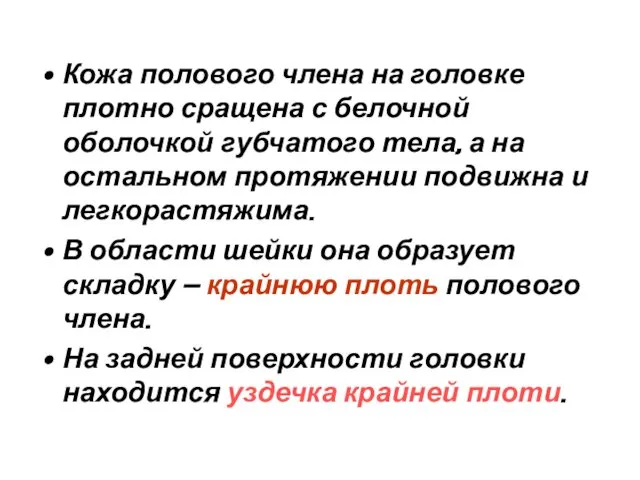 Кожа полового члена на головке плотно сращена с белочной оболочкой губчатого