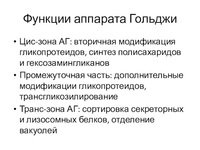 Функции аппарата Гольджи Цис-зона АГ: вторичная модификация гликопротеидов, синтез полисахаридов и