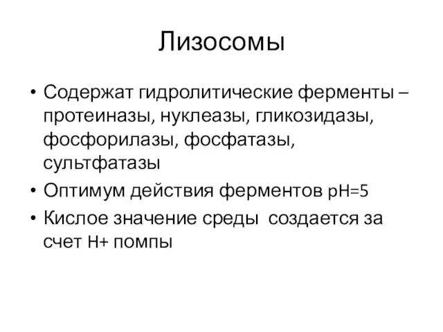 Лизосомы Содержат гидролитические ферменты – протеиназы, нуклеазы, гликозидазы, фосфорилазы, фосфатазы, сультфатазы