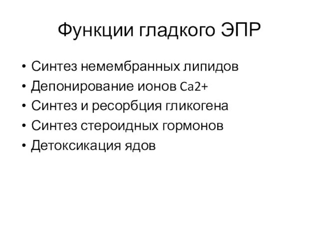 Функции гладкого ЭПР Синтез немембранных липидов Депонирование ионов Ca2+ Синтез и