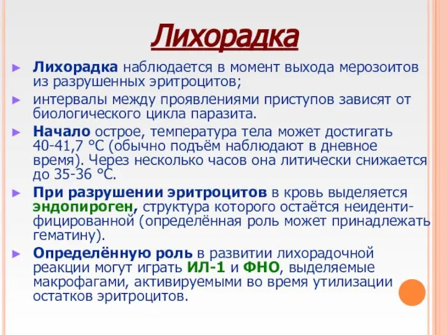 Лихорадка Лихорадка наблюдается в момент выхода мерозоитов из разрушенных эритроцитов; интервалы