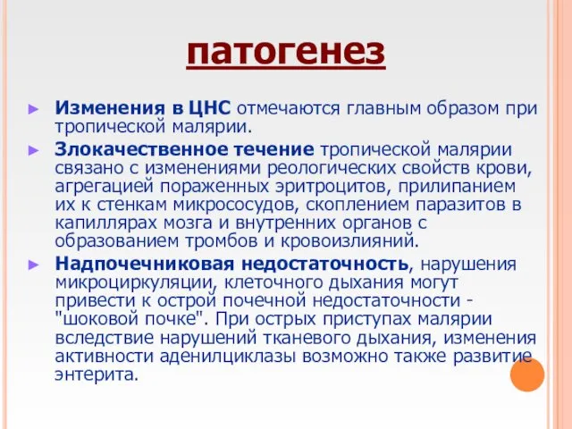 патогенез Изменения в ЦНС отмечаются главным образом при тропической малярии. Злокачественное