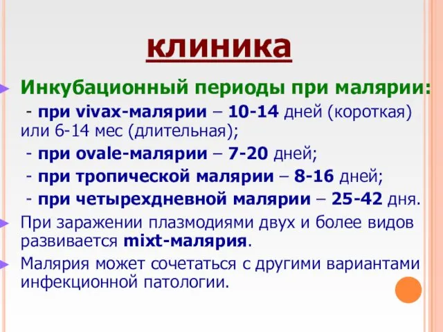 клиника Инкубационный периоды при малярии: - при vivax-малярии – 10-14 дней