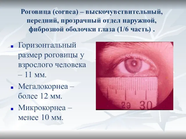 Роговица (cornea) – выскочувствительный, передний, прозрачный отдел наружной, фиброзной оболочки глаза