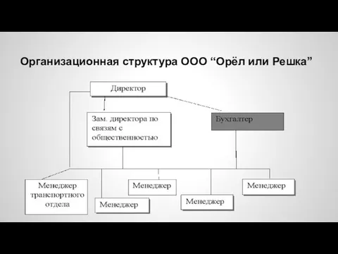 Организационная структура ООО “Орёл или Решка”