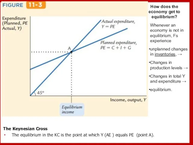 The Keynesian Cross The equilibrium in the KC is the point