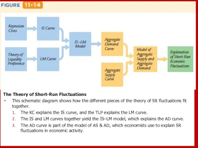 The Theory of Short-Run Fluctuations This schematic diagram shows how the