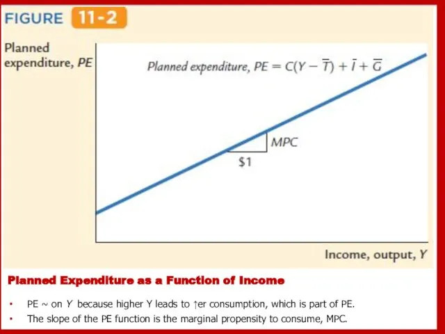 Planned Expenditure as a Function of Income PE ~ on Y
