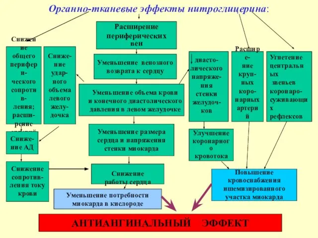 Органно-тканевые эффекты нитроглицерина: Расширение периферических вен Уменьшение венозного возврата к сердцу