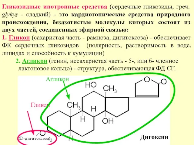 Гликозидные инотропные средства (сердечные гликозиды, греч. glykys - сладкий) - это