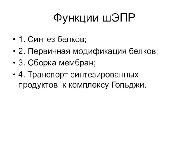 Функции шЭПР 1. Синтез белков; 2. Первичная модификация белков; 3. Сборка