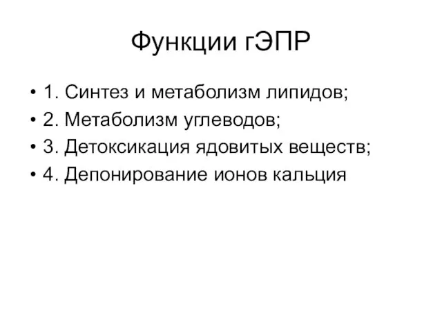 Функции гЭПР 1. Синтез и метаболизм липидов; 2. Метаболизм углеводов; 3.