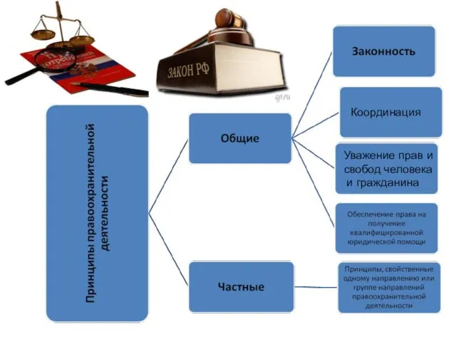 Координация Уважение прав и свобод человека и гражданина