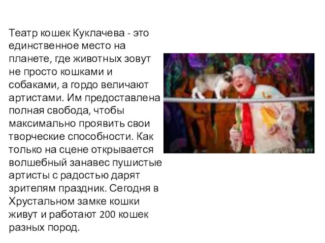 Театр кошек Куклачева - это единственное место на планете, где животных