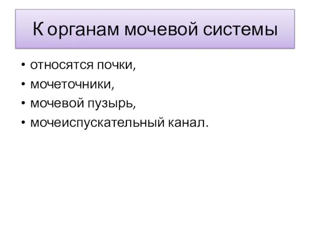 К органам мочевой системы относятся почки, мочеточники, мочевой пузырь, мочеиспускательный канал.