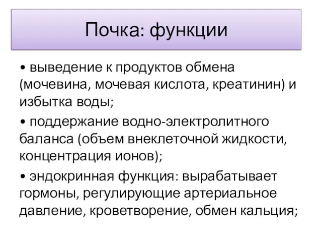 Почка: функции • выведение к продуктов обмена (мочевина, мочевая кислота, креатинин)