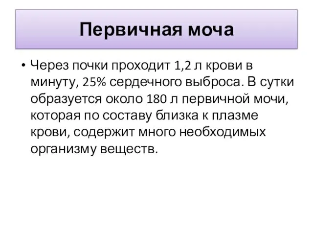 Первичная моча Через почки проходит 1,2 л крови в минуту, 25%