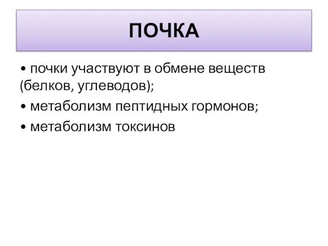 ПОЧКА • почки участвуют в обмене веществ (белков, углеводов); • метаболизм пептидных гормонов; • метаболизм токсинов