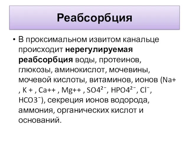 Реабсорбция В проксимальном извитом канальце происходит нерегулируемая реабсорбция воды, протеинов, глюкозы,