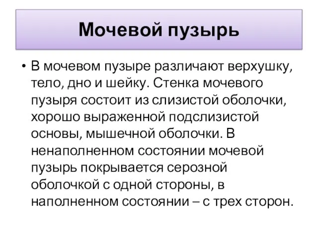 Мочевой пузырь В мочевом пузыре различают верхушку, тело, дно и шейку.