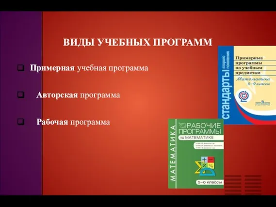 ВИДЫ УЧЕБНЫХ ПРОГРАММ Примерная учебная программа Авторская программа Рабочая программа