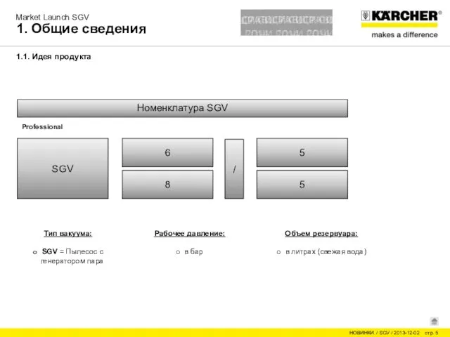 1. Общие сведения Номенклатура SGV Professional SGV 6 8 / 5 5 1.1. Идея продукта