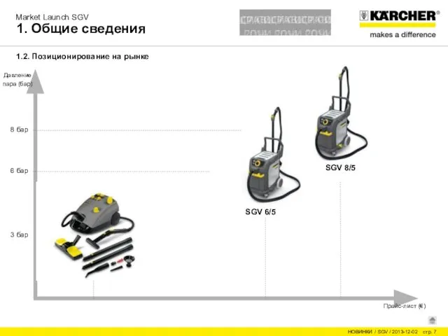 1. Общие сведения 1.2. Позиционирование на рынке DE 4002 SGV 6/5