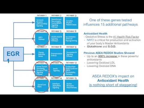 EGR1 Antioxidant Health - Oxidative Stress is the #1 Health Risk