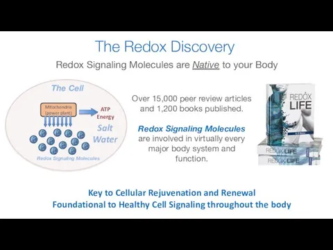 The Redox Discovery Mitochondria (power plant) ATP Energy Key to Cellular