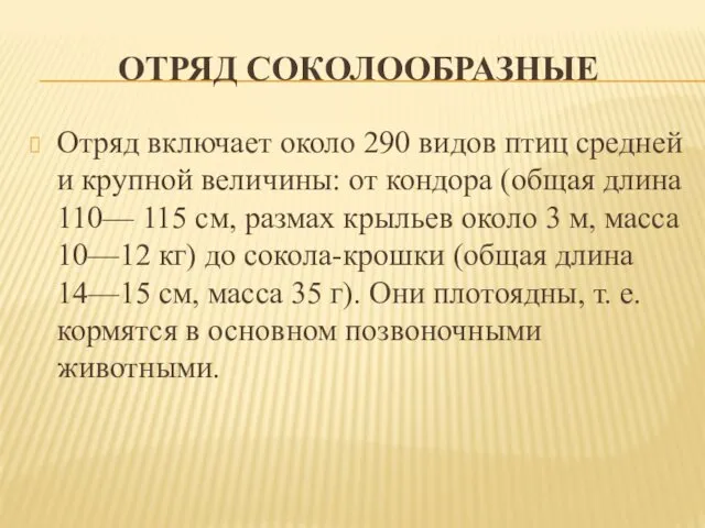 ОТРЯД СОКОЛООБРАЗНЫЕ Отряд включает около 290 видов птиц средней и крупной