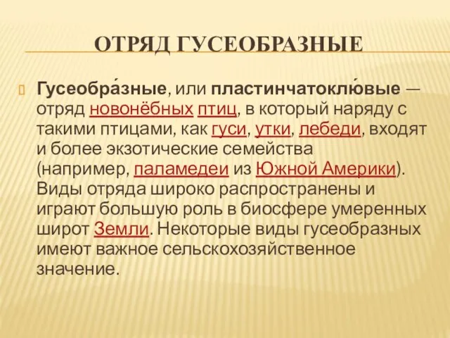 ОТРЯД ГУСЕОБРАЗНЫЕ Гусеобра́зные, или пластинчатоклю́вые — отряд новонёбных птиц, в который