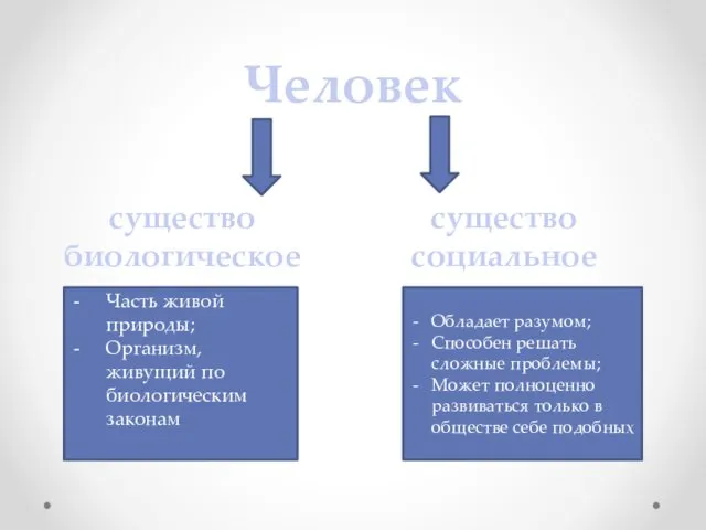 Человек Часть живой природы; Организм, живущий по биологическим законам Обладает разумом;