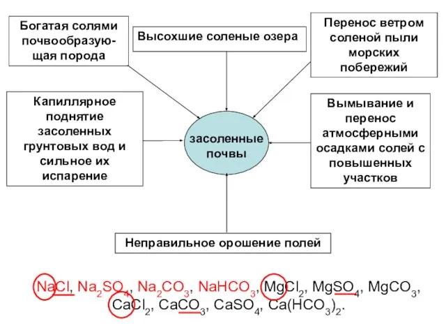 засоленные почвы Богатая солями почвообразую-щая порода Высохшие соленые озера Перенос ветром