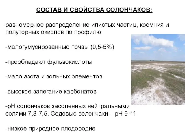 СОСТАВ И СВОЙСТВА СОЛОНЧАКОВ: равномерное распределение илистых частиц, кремния и полуторных