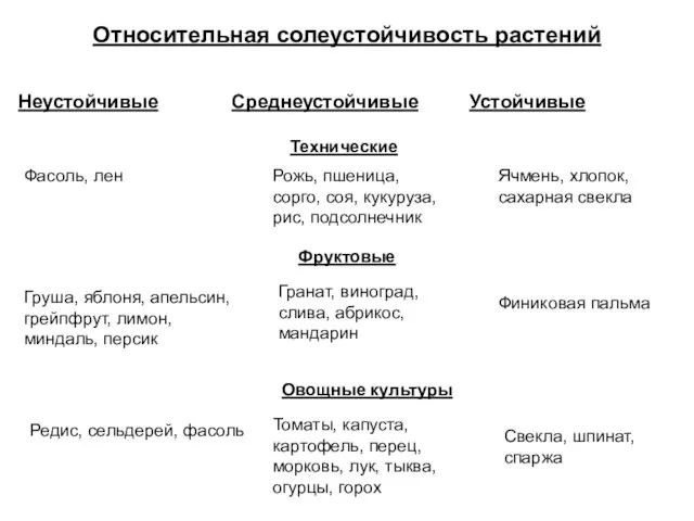 Относительная солеустойчивость растений Неустойчивые Среднеустойчивые Устойчивые Фасоль, лен Рожь, пшеница, сорго,