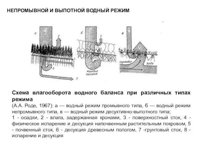 НЕПРОМЫВНОЙ И ВЫПОТНОЙ ВОДНЫЙ РЕЖИМ Схема влагооборота водного баланса при различных