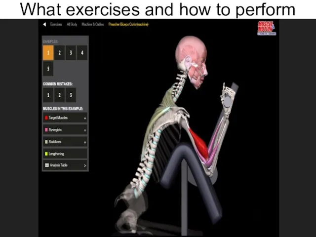 What exercises and how to perform