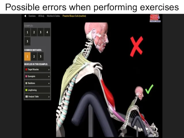 Possible errors when performing exercises