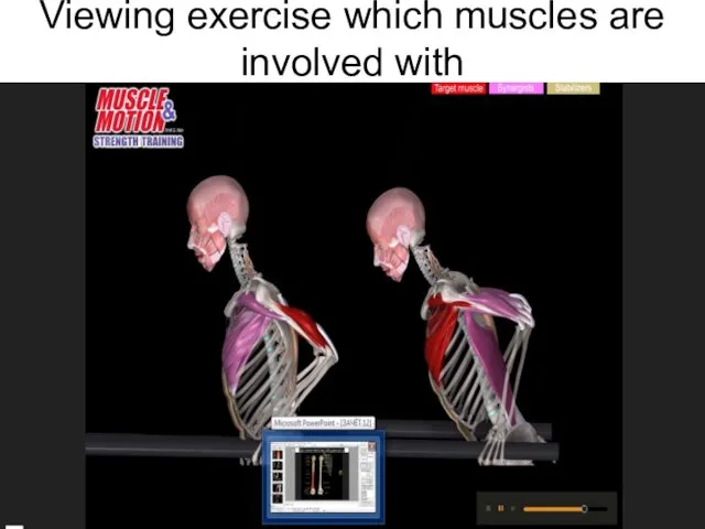 Viewing exercise which muscles are involved with