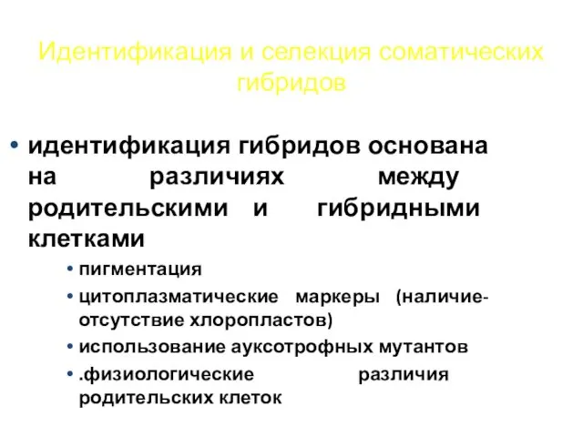 Идентификация и селекция соматических гибридов идентификация гибридов основана на различиях между