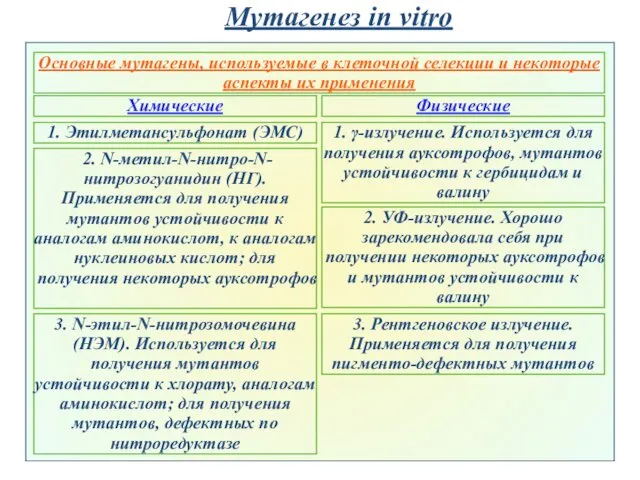 Мутагенез in vitro