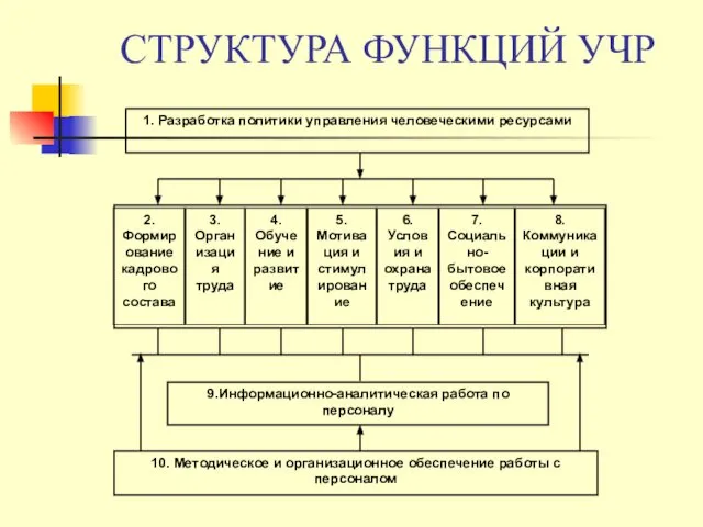 СТРУКТУРА ФУНКЦИЙ УЧР