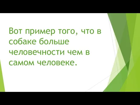 Вот пример того, что в собаке больше человечности чем в самом человеке.