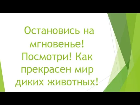 Остановись на мгновенье! Посмотри! Как прекрасен мир диких животных!