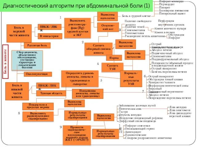 Диагностический алгоритм при абдоминальной боли (1)